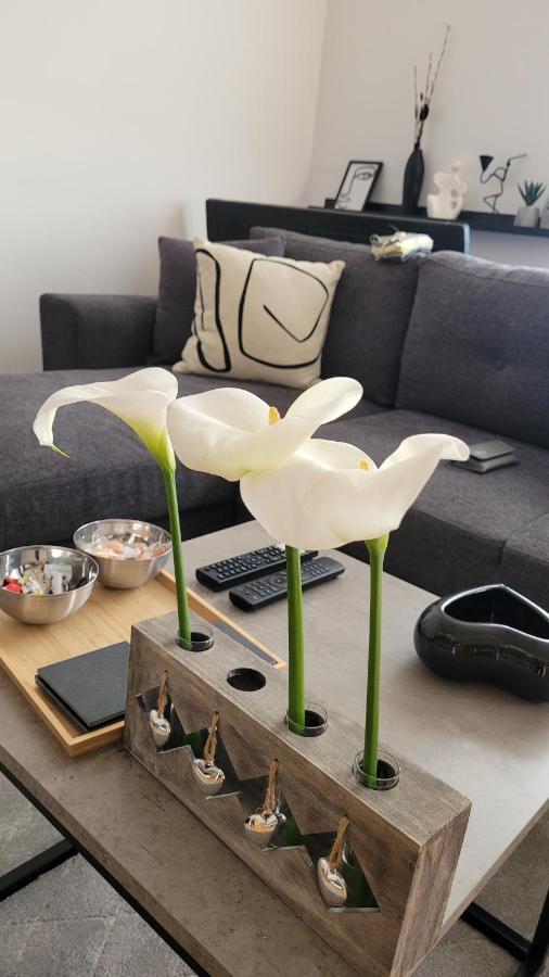 Apartman Riva Kraljevo Exterior foto